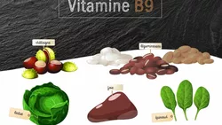 Wat Veroorzaakt Vitamine B9tekort